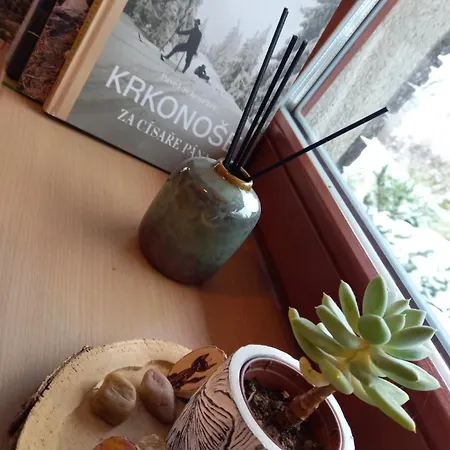 Prvni Apartman アパート